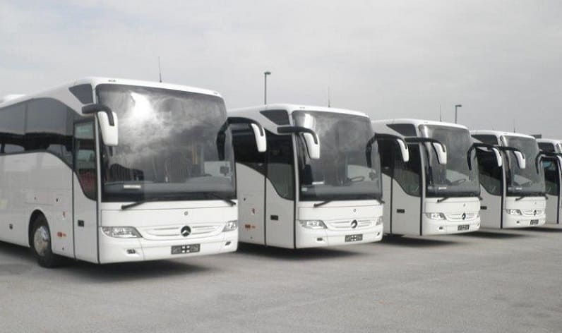 Friuli-Venezia Giulia: Bus company in Udine in Udine and Italy